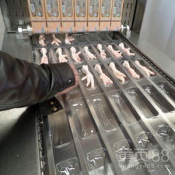 食品包裝新篇章 揭秘全自動真空包裝機與諸城神州機械的行業(yè)貢獻